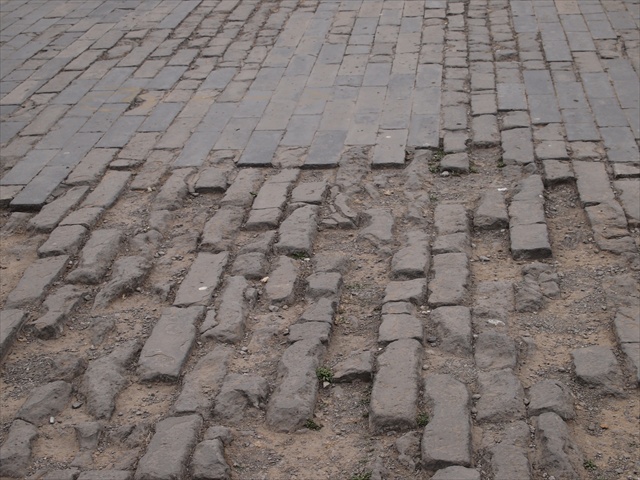 [Image: P4029227.JPG]