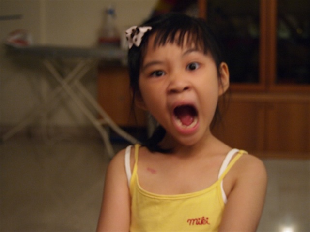 [Image: PC103821.JPG]