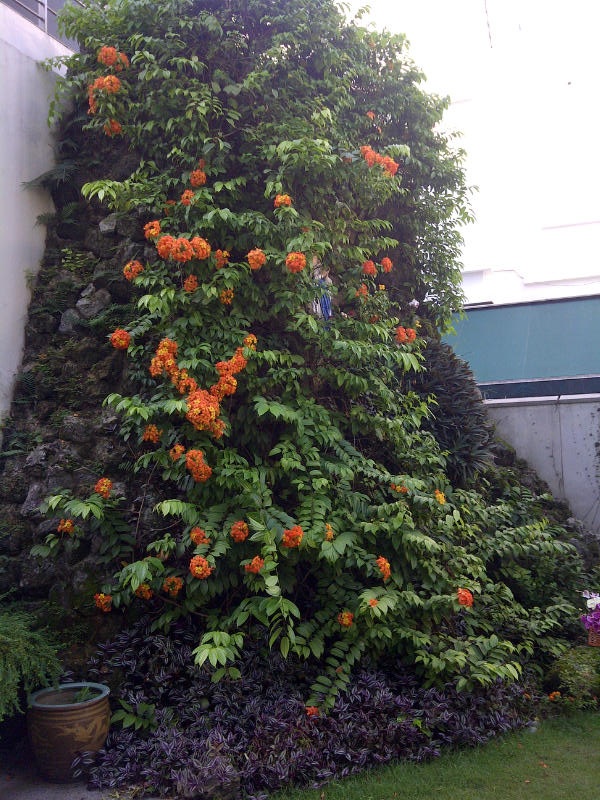 [Image: IMG-20130108-00075.jpg]