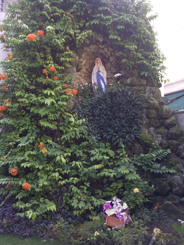 [Image: IMG-20130108-00077.jpg]