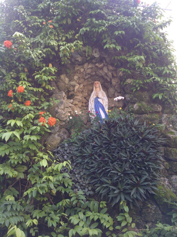 [Image: IMG-20130108-00079.jpg]