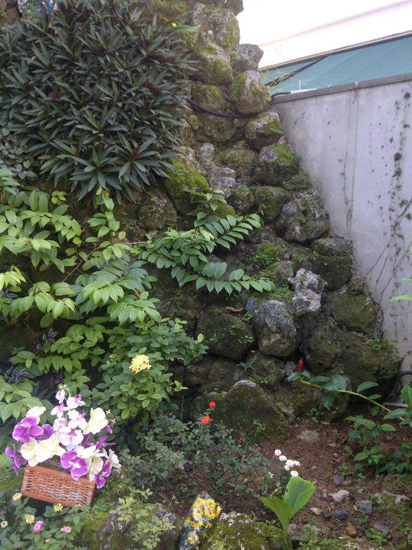 [Image: IMG-20130108-00080.jpg]
