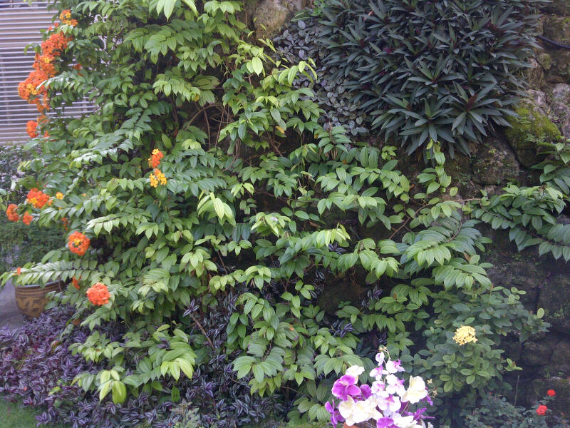 [Image: IMG-20130108-00081.jpg]