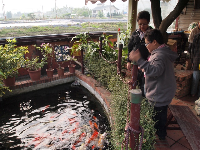 [Image: PC174820.JPG]