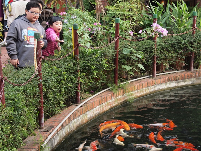 [Image: PC174838.JPG]