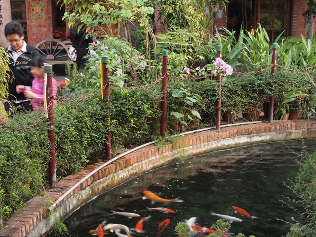 [Image: PC174840.JPG]