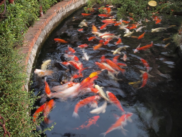 [Image: PC174847.JPG]