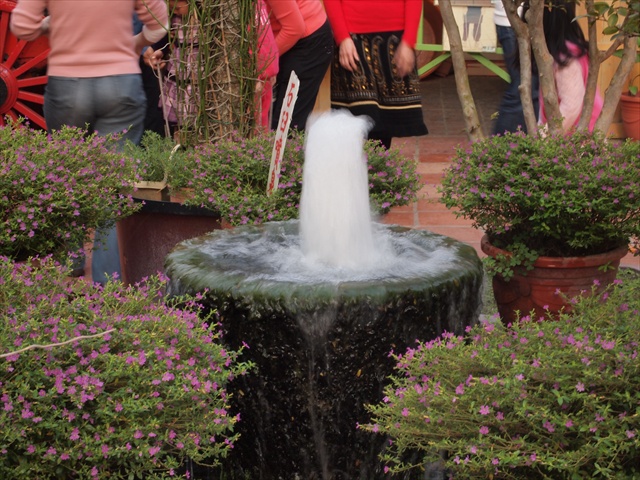 [Image: PC174858.JPG]