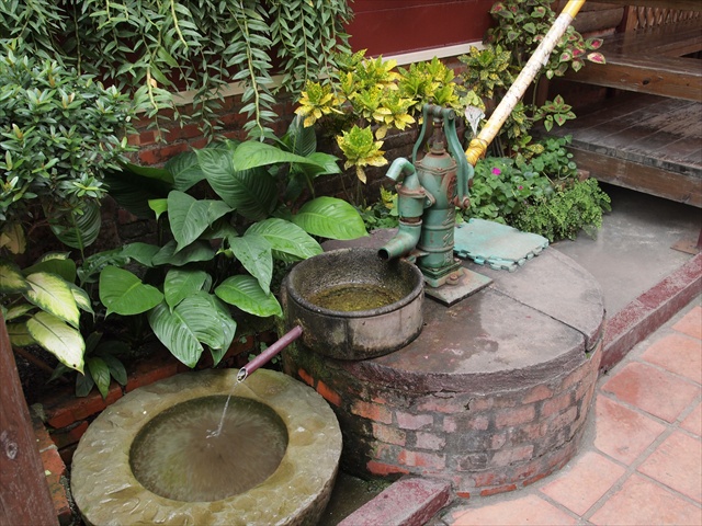 [Image: PC174861.JPG]