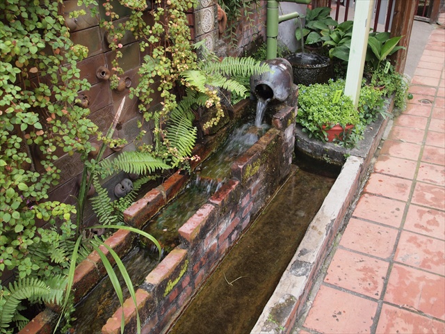 [Image: PC174862.JPG]