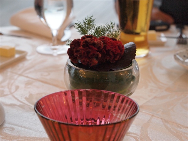 [Image: P1288058.JPG]
