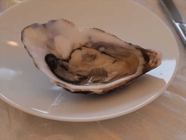 [Image: P1288062.JPG]
