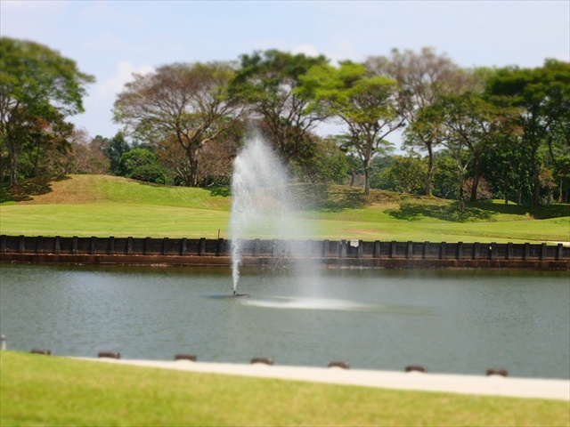 [Image: P2158098.JPG]
