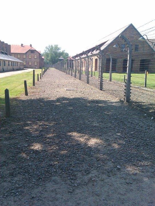 [Image: Auschwitz02-boundary-jpg_082214.jpg]