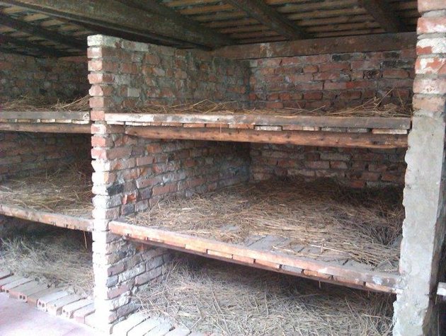 [Image: Auschwitz10-dorm-jpg_085707.jpg]