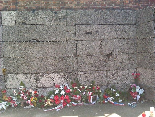 [Image: Auschwitz14-wall-jpg_092114.jpg]