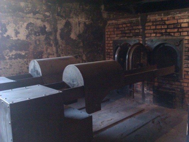 [Image: Auschwitz17-incinerator-jpg_093538.jpg]