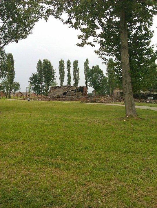 [Image: Auschwitz19-gas-chamber-last-jpg_094856.jpg]